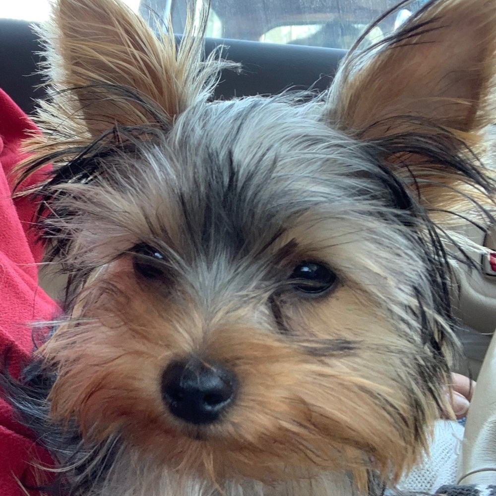 Meet your Posher, Tanya